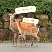 ヒメ日記 2025/08/31 09:00 投稿 はるな スパーク日本橋