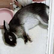 ヒメ日記 2025/10/13 09:21 投稿 はるな スパーク日本橋