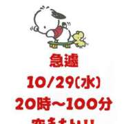 ヒメ日記 2025/10/29 02:31 投稿 はるな スパーク日本橋