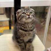 ヒメ日記 2025/11/05 00:04 投稿 はるな スパーク日本橋