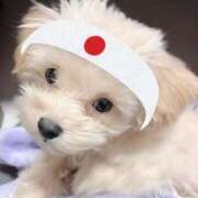 ヒメ日記 2025/11/13 00:20 投稿 はるな スパーク日本橋