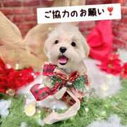 はるな お知らせ⋆͛📢⋆ スパーク日本橋