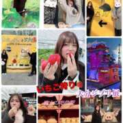 ヒメ日記 2026/02/18 15:33 投稿 はるな スパーク日本橋