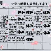 はるな (4月の予定表🌸🍡最終更新：3/1) スパーク日本橋