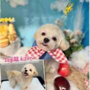 ヒメ日記 2026/03/09 12:22 投稿 はるな スパーク日本橋