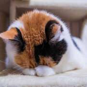 ヒメ日記 2025/06/20 08:48 投稿 さつき 京橋熟女