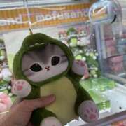 ヒメ日記 2025/06/24 19:40 投稿 ひろみ ふぞろいの人妻たち