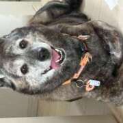 ヒメ日記 2025/06/06 08:55 投稿 るい 横浜熟女MAX