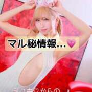 ヒメ日記 2025/07/24 14:50 投稿 ミユキ【透明感際立つギャルバニ】 ドMなバニーちゃん和歌山店