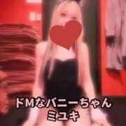 ヒメ日記 2025/10/08 12:24 投稿 ミユキ【透明感際立つギャルバニ】 ドMなバニーちゃん和歌山店