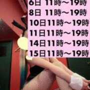 ヒメ日記 2026/03/31 17:04 投稿 ミユキ【透明感際立つギャルバニ】 ドMなバニーちゃん和歌山店