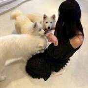 ヒメ日記 2025/10/10 09:47 投稿 ねお 電マナイザー イラマチオン