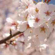 ヒメ日記 2026/03/26 12:47 投稿 ねお 電マナイザー イラマチオン