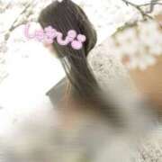 ヒメ日記 2025/06/13 12:29 投稿 マテガイ 女の子市場　川越店