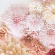 ヒメ日記 2025/09/30 04:51 投稿 かれん 抜けば！愉快だ！宇都宮！ヌキヌキパラダイス