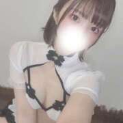 ヒメ日記 2025/07/06 08:08 投稿 まき The White