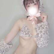 ヒメ日記 2025/08/20 07:57 投稿 まき The White