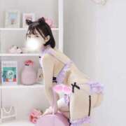 ヒメ日記 2025/09/23 18:24 投稿 まき The White