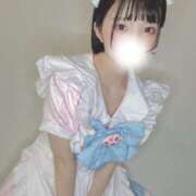 ヒメ日記 2025/10/26 07:33 投稿 まき The White