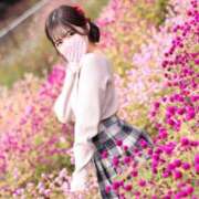 ヒメ日記 2025/11/14 20:30 投稿 まき The White