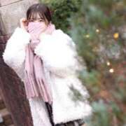 ヒメ日記 2025/11/17 18:02 投稿 まき The White