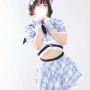 ヒメ日記 2025/11/25 19:00 投稿 まき The White