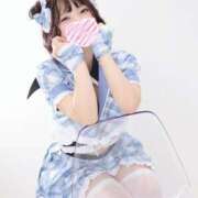 ヒメ日記 2025/11/26 07:30 投稿 まき The White