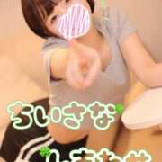 ヒメ日記 2025/11/26 22:31 投稿 まき The White