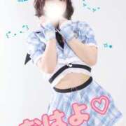 ヒメ日記 2025/11/27 07:30 投稿 まき The White