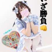 ヒメ日記 2025/11/28 15:00 投稿 まき The White