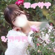 ヒメ日記 2025/11/28 22:01 投稿 まき The White