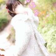 ヒメ日記 2025/11/30 06:45 投稿 まき The White