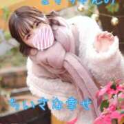 ヒメ日記 2025/12/06 18:00 投稿 まき The White