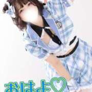 ヒメ日記 2025/12/09 07:30 投稿 まき The White