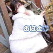 ヒメ日記 2025/12/12 07:30 投稿 まき The White