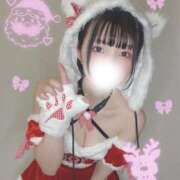 ヒメ日記 2025/12/12 12:01 投稿 まき The White