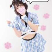 ヒメ日記 2025/12/13 07:30 投稿 まき The White