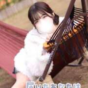 ヒメ日記 2025/12/13 15:00 投稿 まき The White