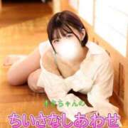 ヒメ日記 2025/12/14 22:00 投稿 まき The White