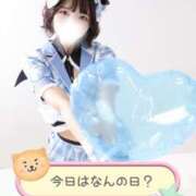 ヒメ日記 2025/12/15 12:01 投稿 まき The White