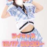 ヒメ日記 2025/12/16 15:00 投稿 まき The White