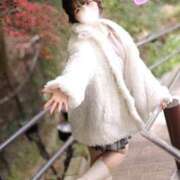 ヒメ日記 2025/12/18 07:30 投稿 まき The White