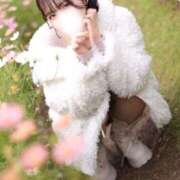 ヒメ日記 2025/12/24 22:01 投稿 まき The White