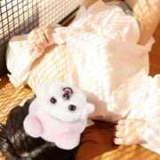 ヒメ日記 2025/12/29 15:00 投稿 まき The White