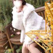 ヒメ日記 2025/12/30 07:30 投稿 まき The White