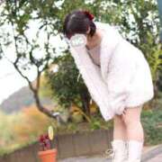 ヒメ日記 2025/12/30 15:00 投稿 まき The White