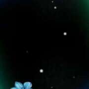 ヒメ日記 2025/09/14 14:08 投稿 撫子（なこ） PLUS十三店