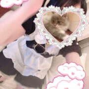 ヒメ日記 2025/06/29 13:35 投稿 るねこ【FG系列】 フィーリングin厚木【FG系列】