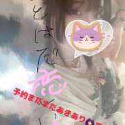 ヒメ日記 2025/07/22 15:33 投稿 るねこ【FG系列】 フィーリングin厚木【FG系列】