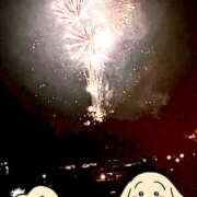 ヒメ日記 2025/08/03 05:17 投稿 るねこ【FG系列】 フィーリングin厚木【FG系列】